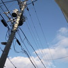 空へ伸びて