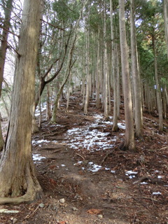 雪が残るきれいな尾根道