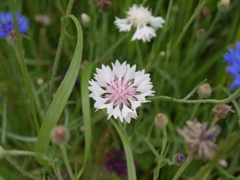 P1210510