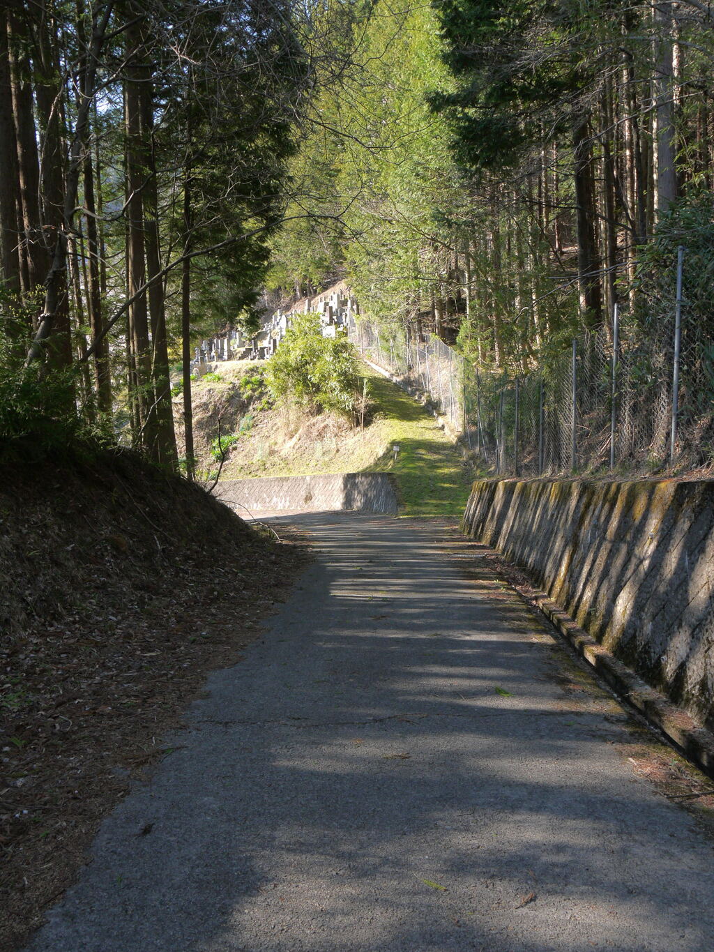 下山完了します。