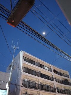 夜の月