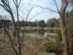 DSCF0336