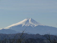 本日の富士山