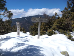 黒金山山頂