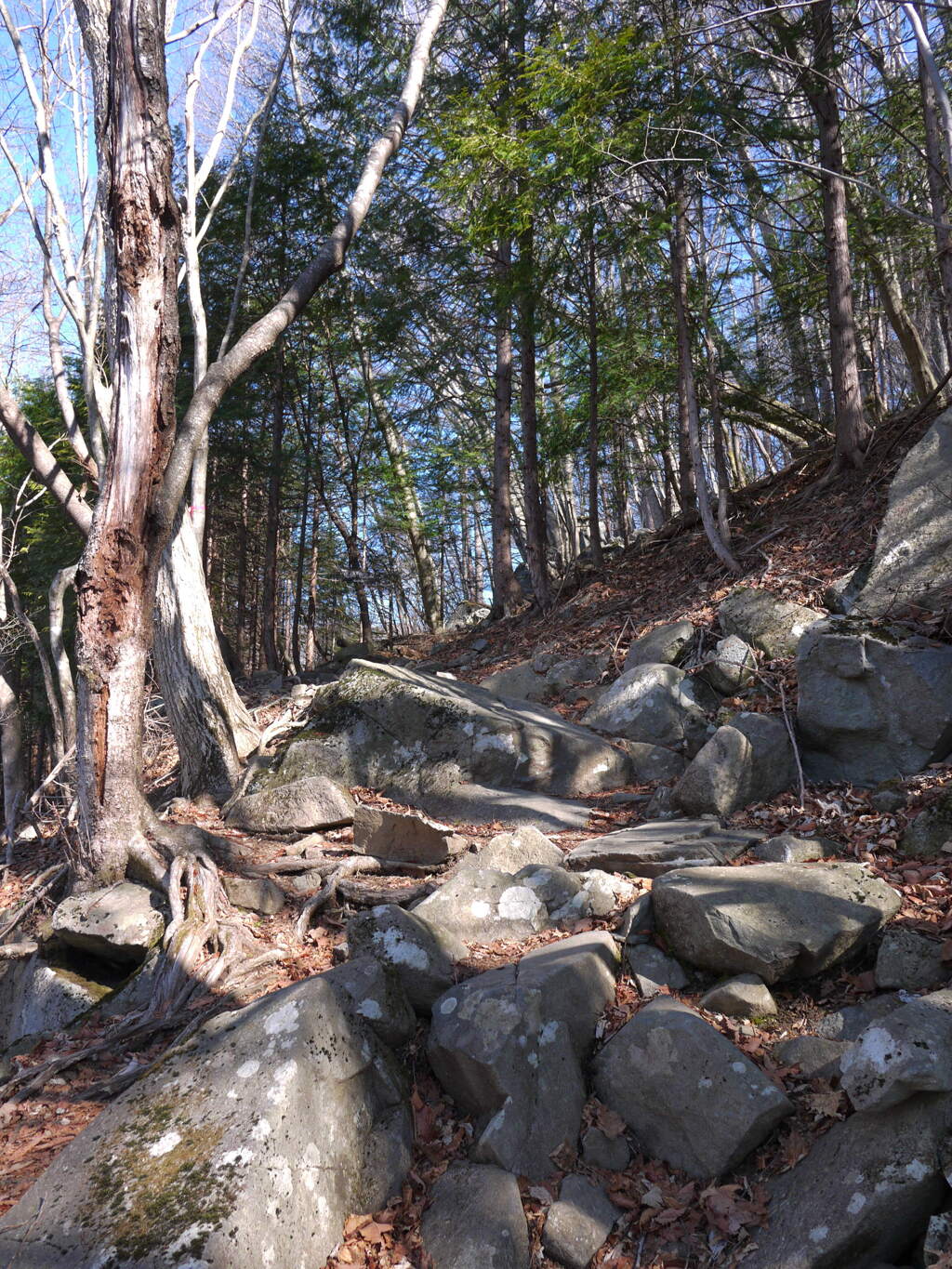 登山道