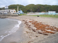 金谷海浜公園にて①