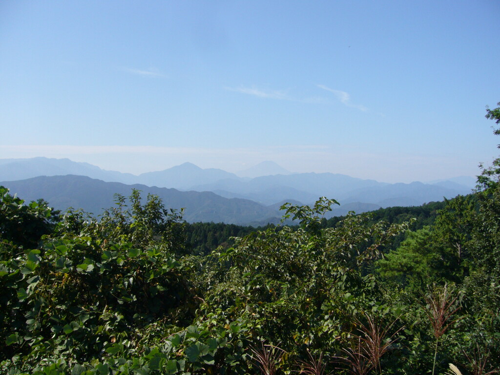 遠くに見える富士山
