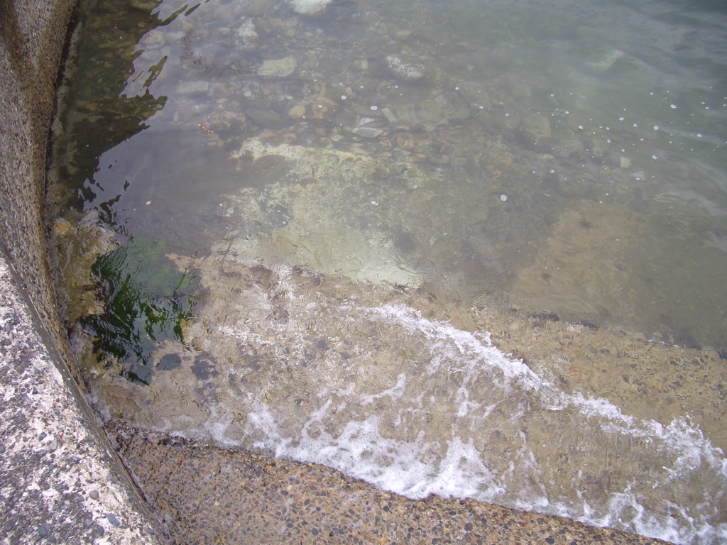 金谷海浜公園にて②