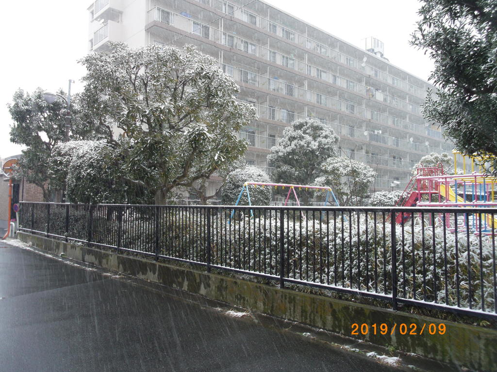 雪に埋もれそう