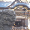 狛犬と宝登山神社