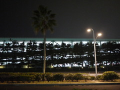 海沿いの夜