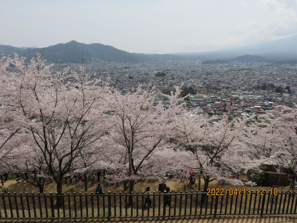 新倉山浅間神社にて