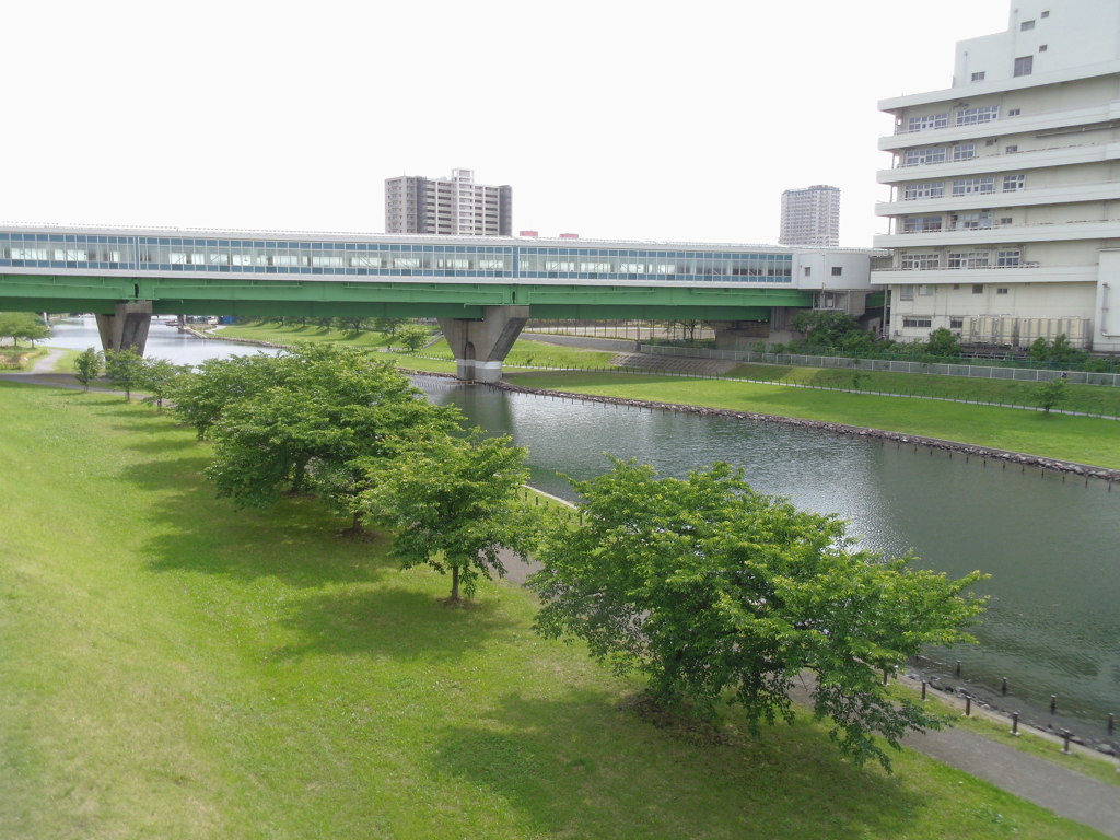 穏やかな川原
