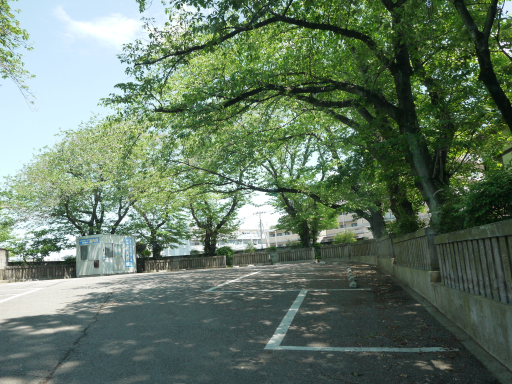 静かな駐車場