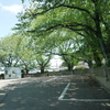静かな駐車場