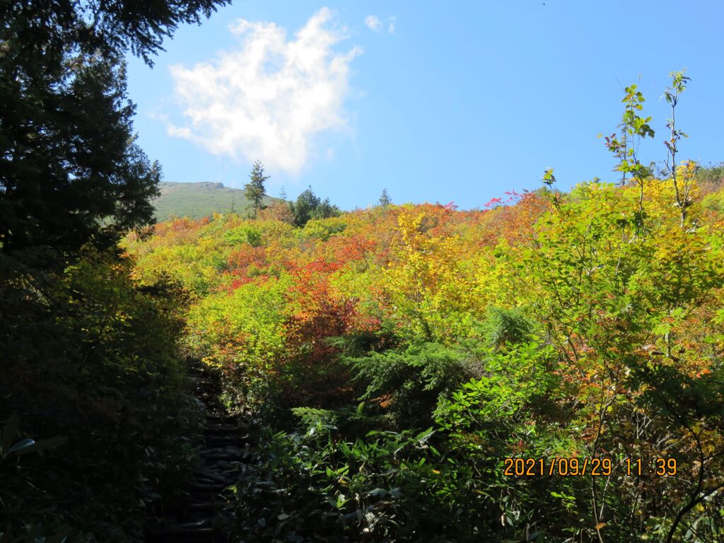 至仏山の登り1