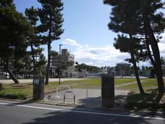 桜のある公園