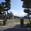 桜のある公園