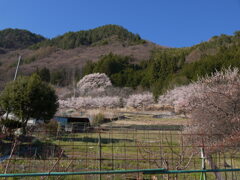 里山の風景