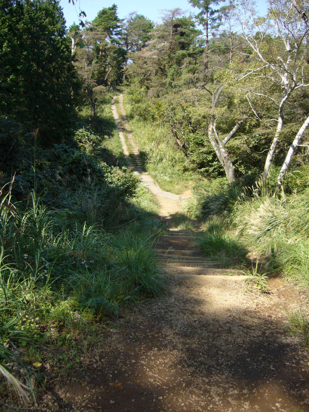 山道