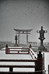 雪の鳥居