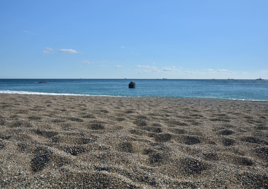 渥美半島 砂浜