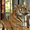 東山動物園
