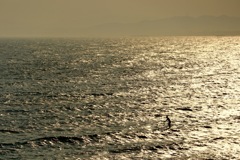 夏の終わりの江ノ島