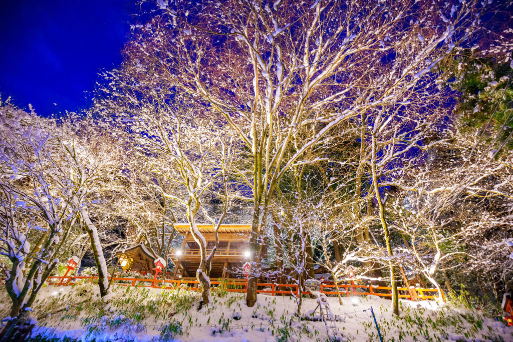 貴船神社の積雪限定ライトアップ1