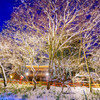 貴船神社の積雪限定ライトアップ1