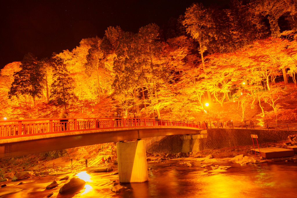香嵐渓の紅葉ライトアップ5 By ししゃも 一口馬主 Id 写真共有サイト Photohito 香嵐渓の紅葉ライトアップ5 By ししゃも 一口馬主 Id 写真共有サイト Photohito