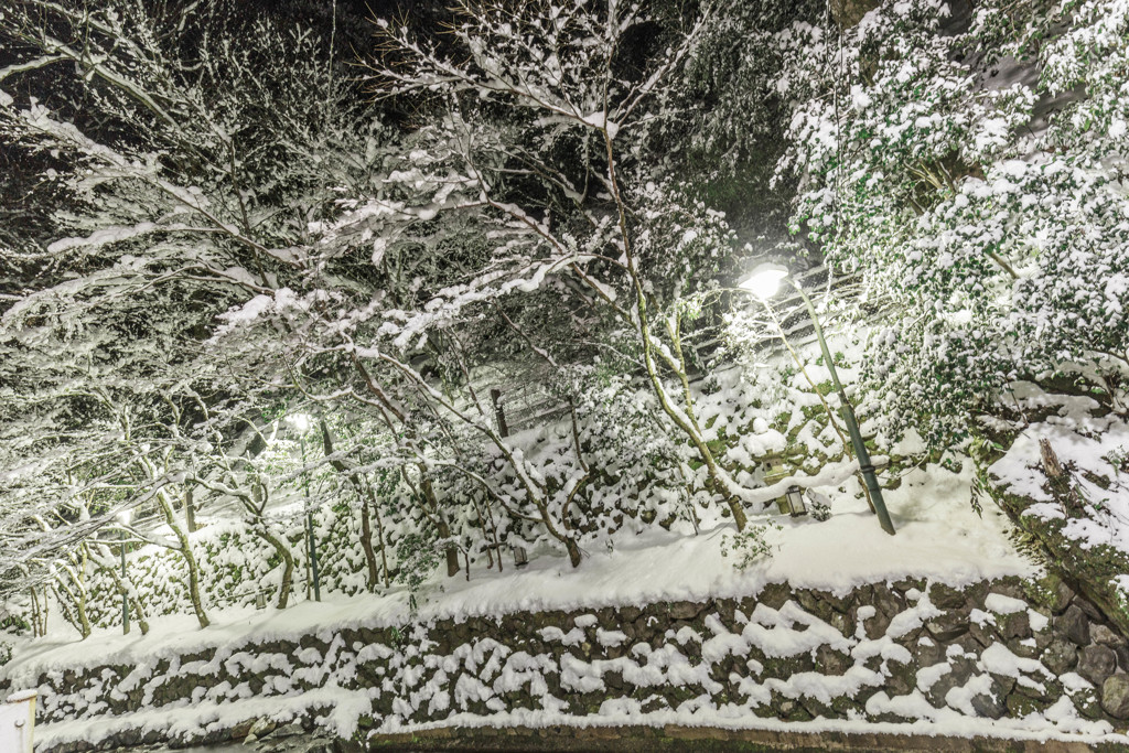 貴船神社の積雪限定ライトアップ17