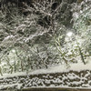 貴船神社の積雪限定ライトアップ17