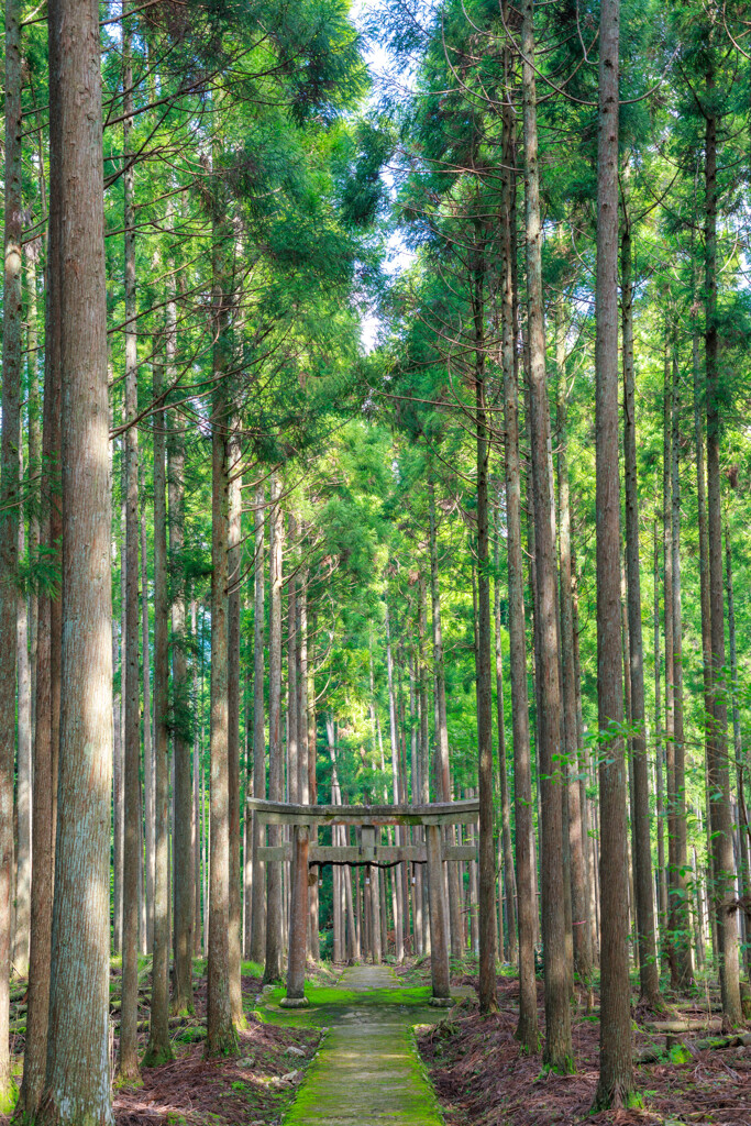 神社