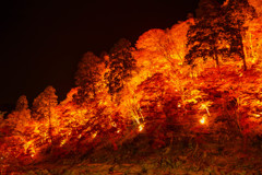 香嵐渓の紅葉ライトアップ3