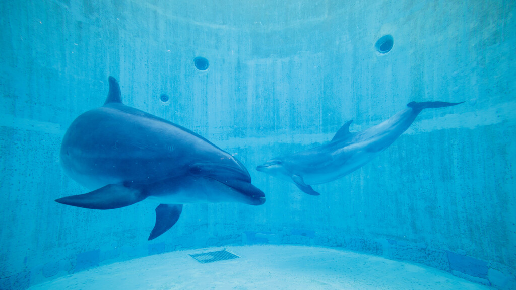 名古屋港水族館