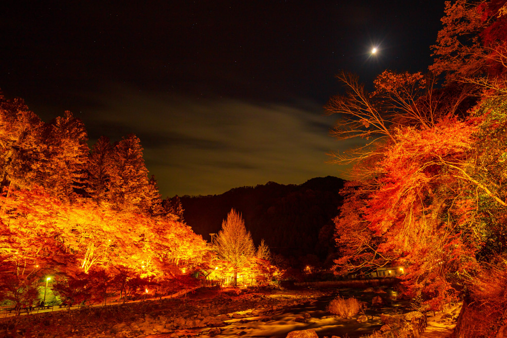 香嵐渓の紅葉ライトアップ6