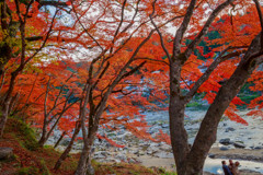 香嵐渓の紅葉2