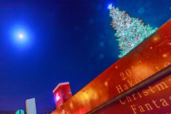 函館のクリスマスツリー3
