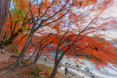 香嵐渓の紅葉1