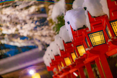 貴船神社の積雪限定ライトアップ10