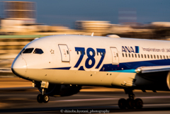 ANA787