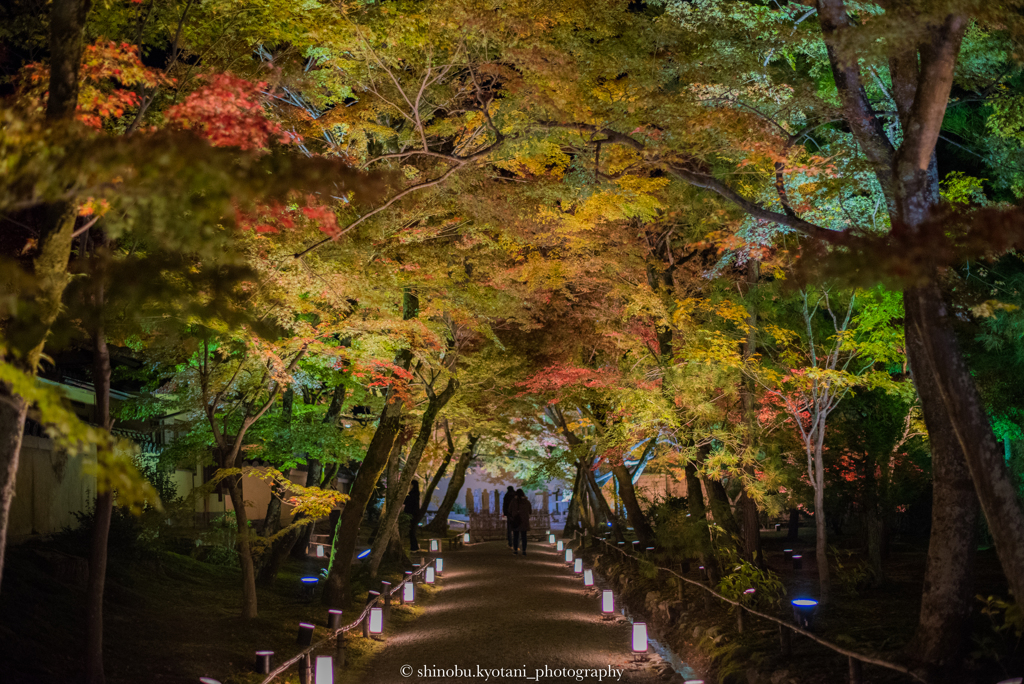 宝厳院