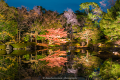 白鳥庭園