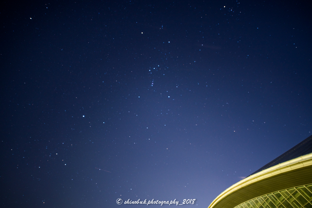 shinobu.k.photography2018