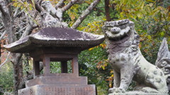 熊本県玉名市　四十九池神社　狛犬①