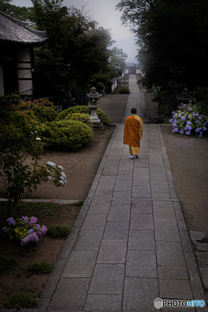 矢田の朝