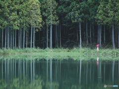 湖面