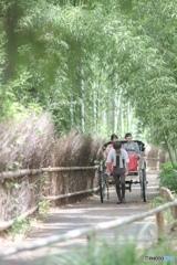嵐山
