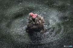 水浴び